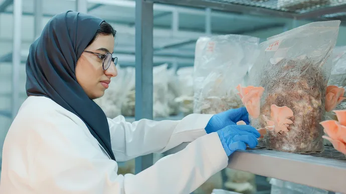 UAEU Launches Smart Mushroom House to Advance Food Security and Support Emirati Undergraduate Researchers