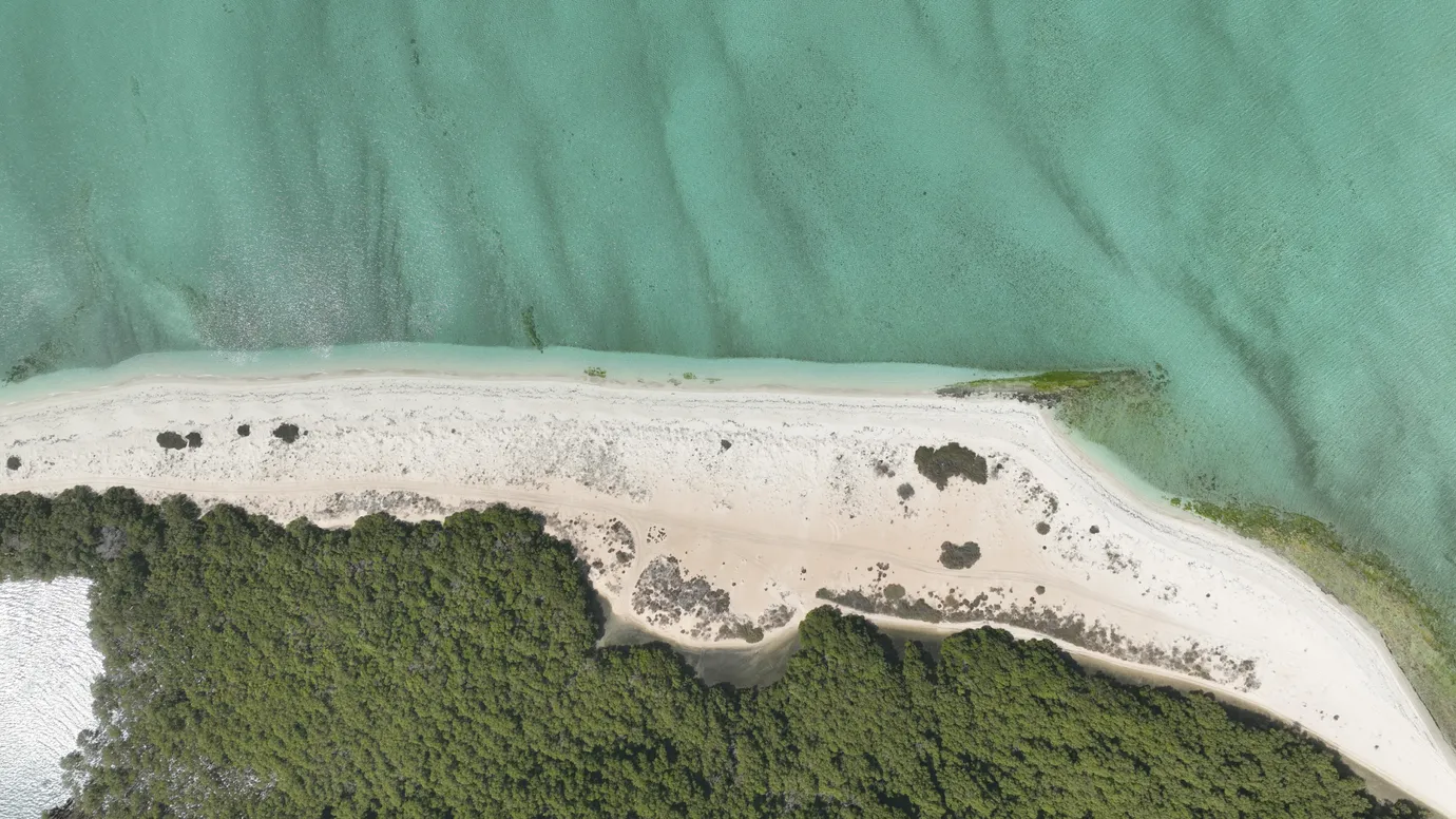 Department of Culture and Tourism – Abu Dhabi launches Abu Dhabi Islands and Water Sports Guide