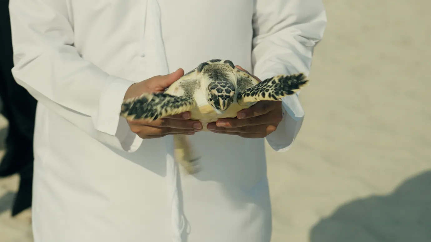 Yas SeaWorld Research & Rescue Center surpasses 800 animal rescues since opening in 2023