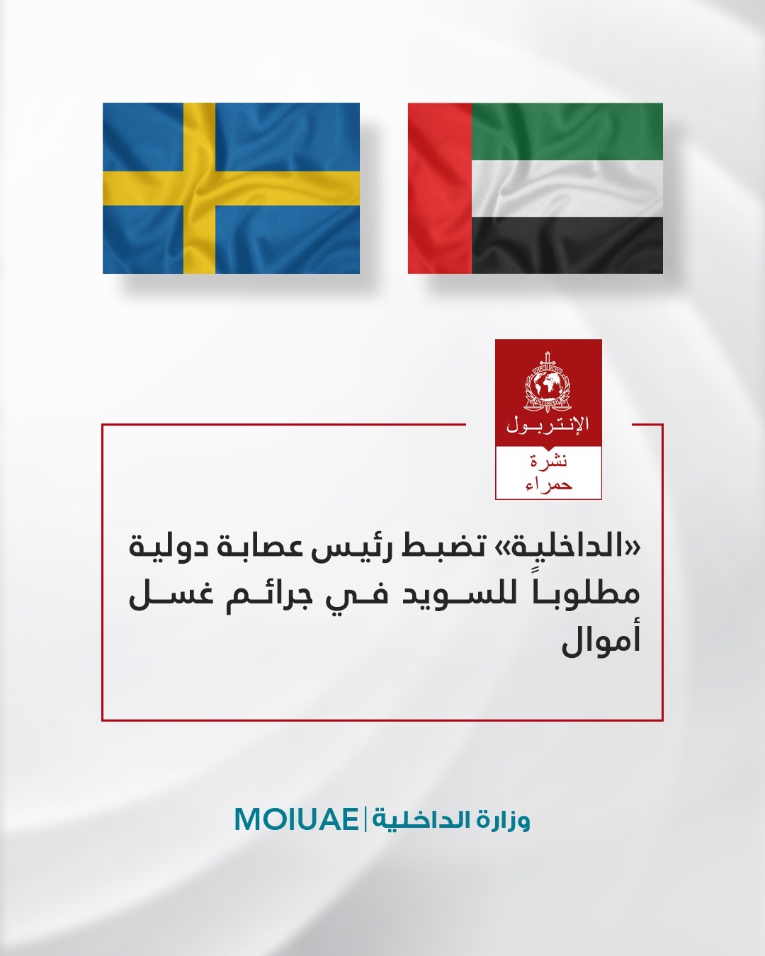 Ministry of Interior arrests international gang leader wanted by Sweden for money laundering crimes
