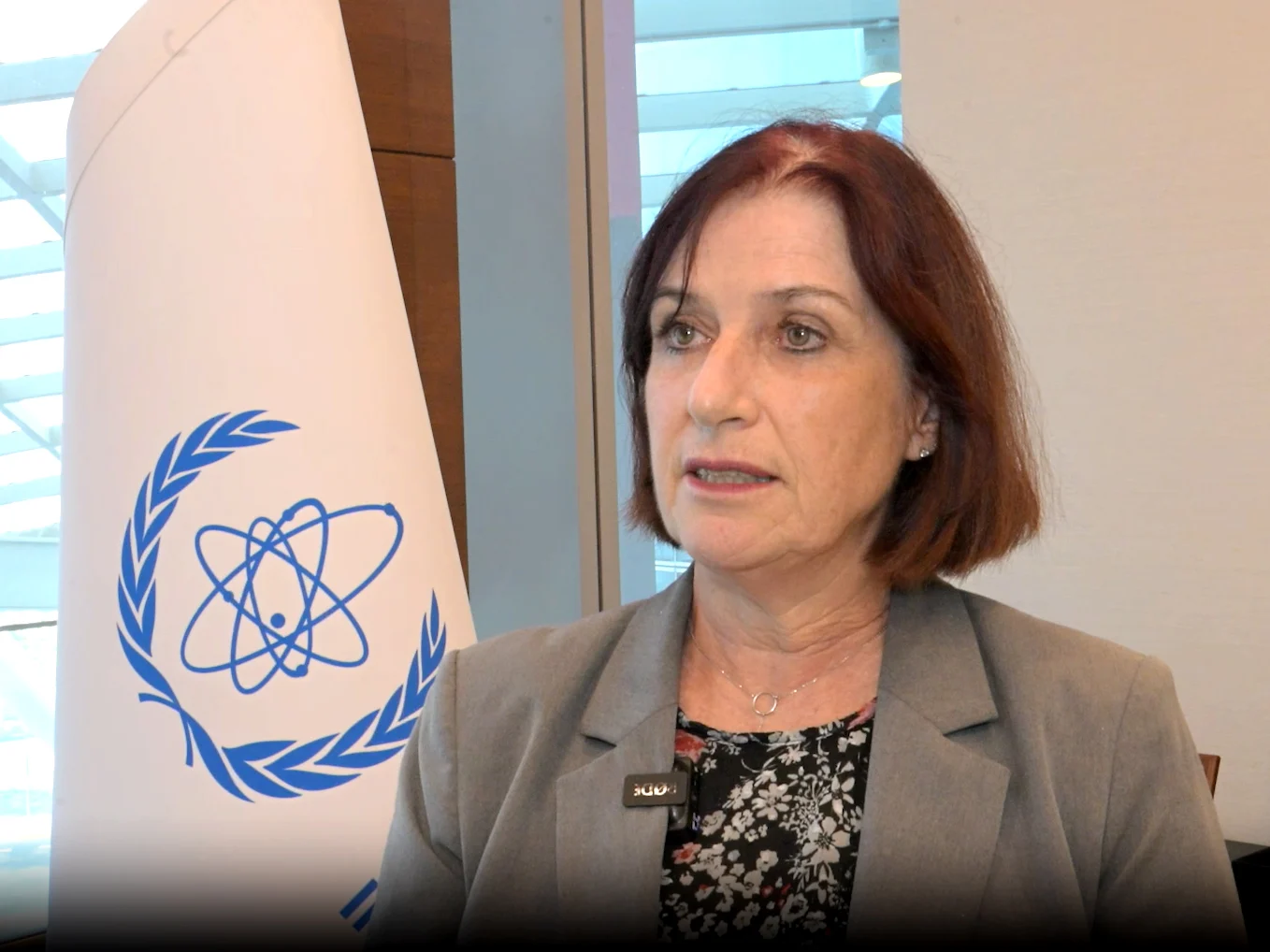 IAEA commends UAE's nuclear emergency preparedness, longstanding cooperation